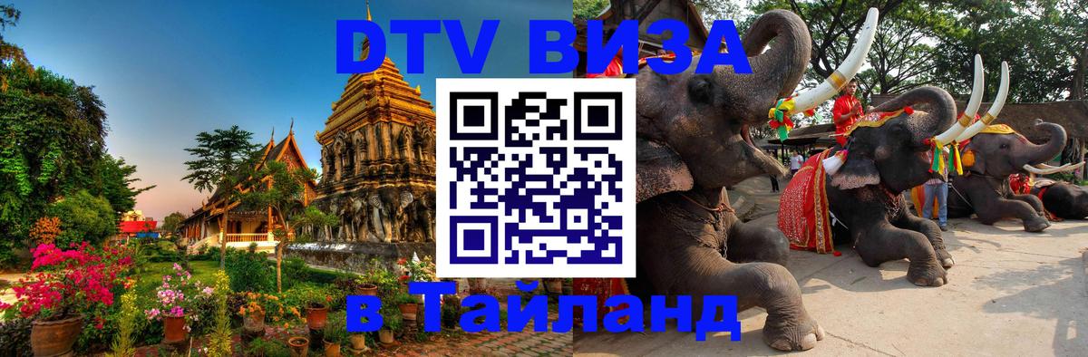 Visa ДТВ Тайланд помощь Бишкек 
